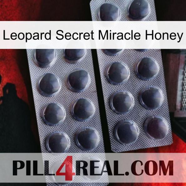 Leopard Secret Miracle Honey 31.jpg